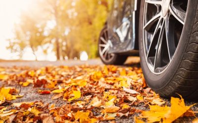 Autumn Driving Safety: Navigating Seasonal Changes and Ensuring Auto Insurance Protection