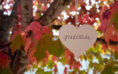 Thanksgiving Gratitude: The Importance of Insurance Coverage