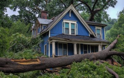 Don’t Rely on Luck: Review Your Homeowners Insurance Coverage for Spring Risks