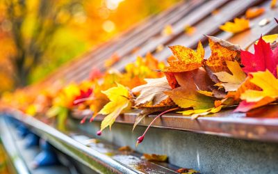 Fall Home Maintenance Checklist – Avoiding Autumn Claims