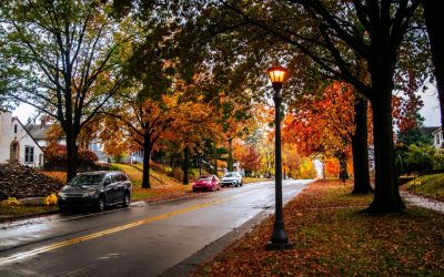 Fall Driving Safety: 7 Ways to Prepare Your Car for the Changing Season